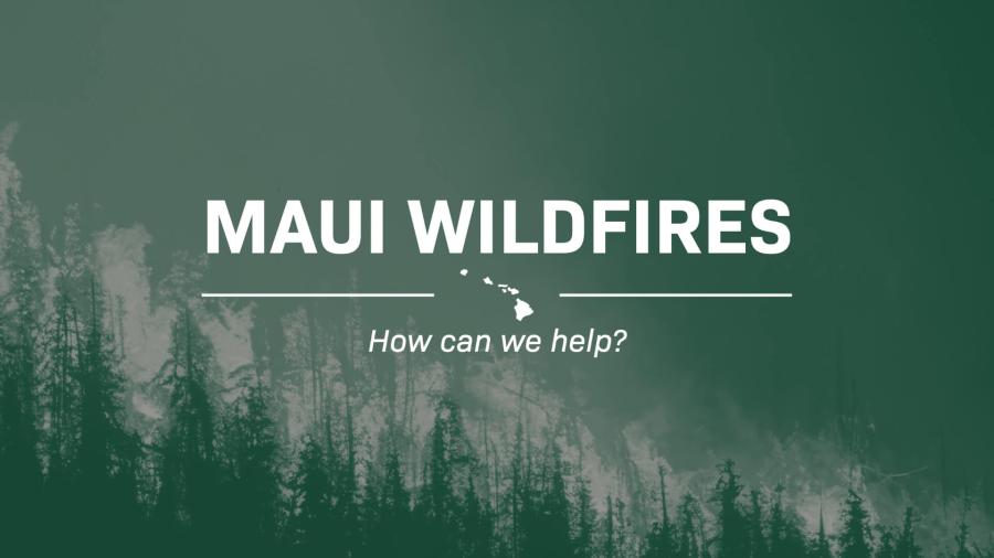 Maui Wildfires: How Can We Helop?